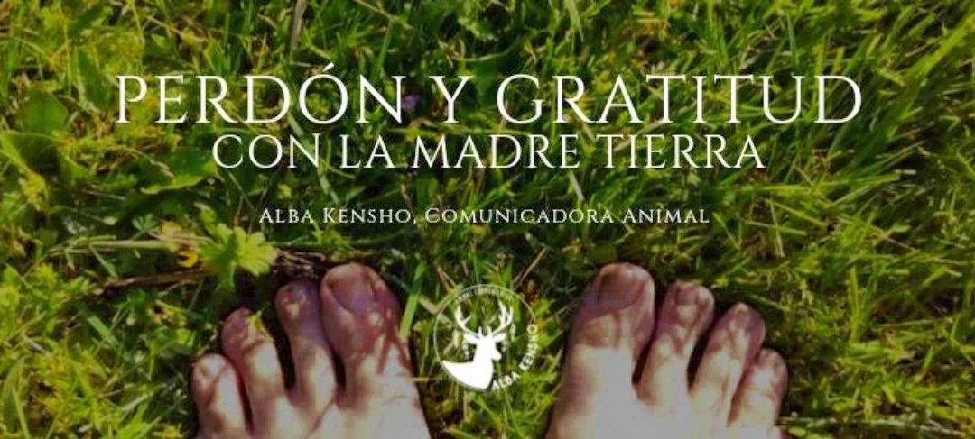 PERDON Y GRATITUD CON LA TIERRA